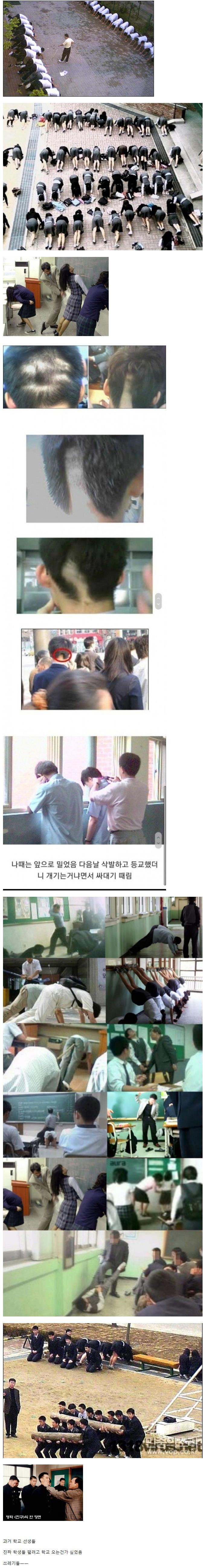 대한민국 학교 폭력의 최대 가해자
