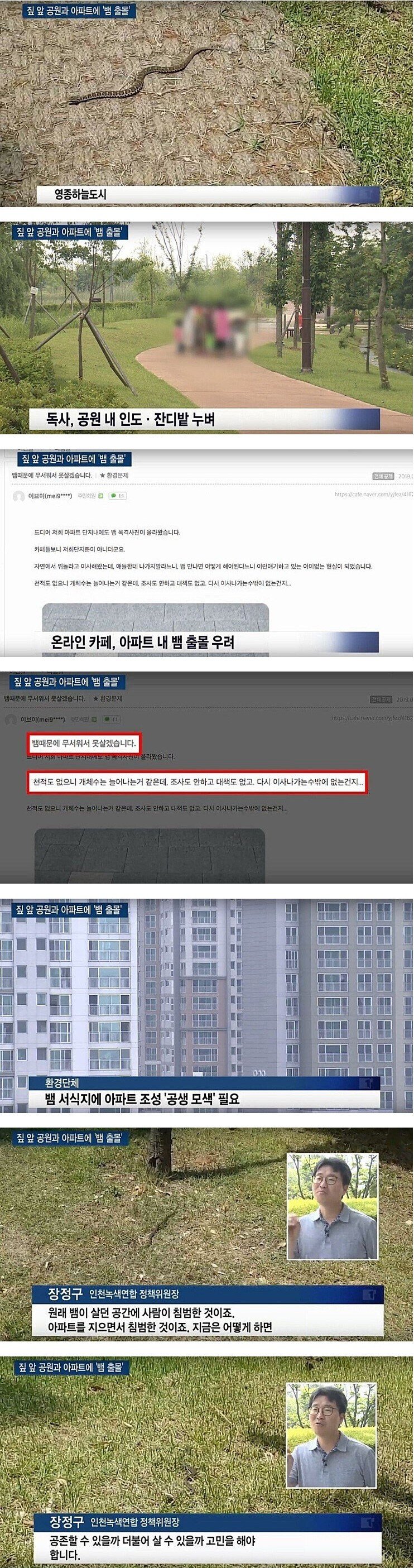 아파트 단지에 독사가 출현하면 생기는일 ㄷㄷㄷㄷㄷ