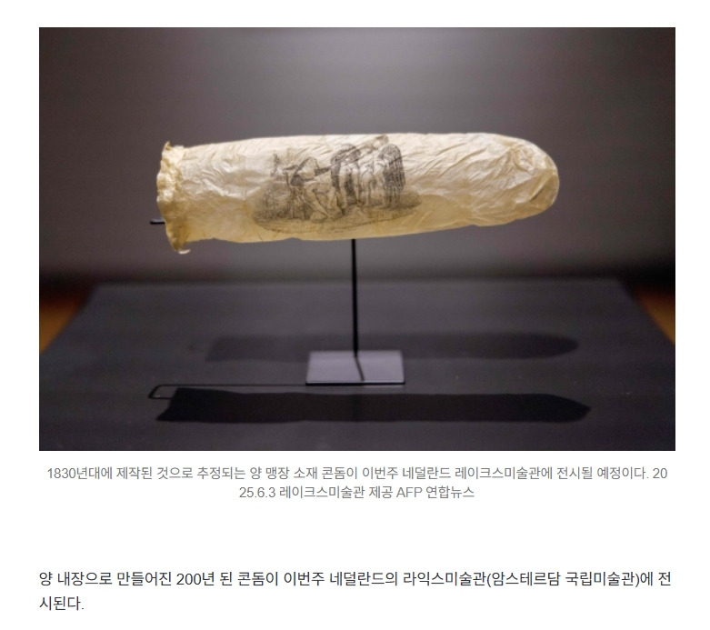 200년 된 20㎝ 길이 콘돔, 소재는 양 내장