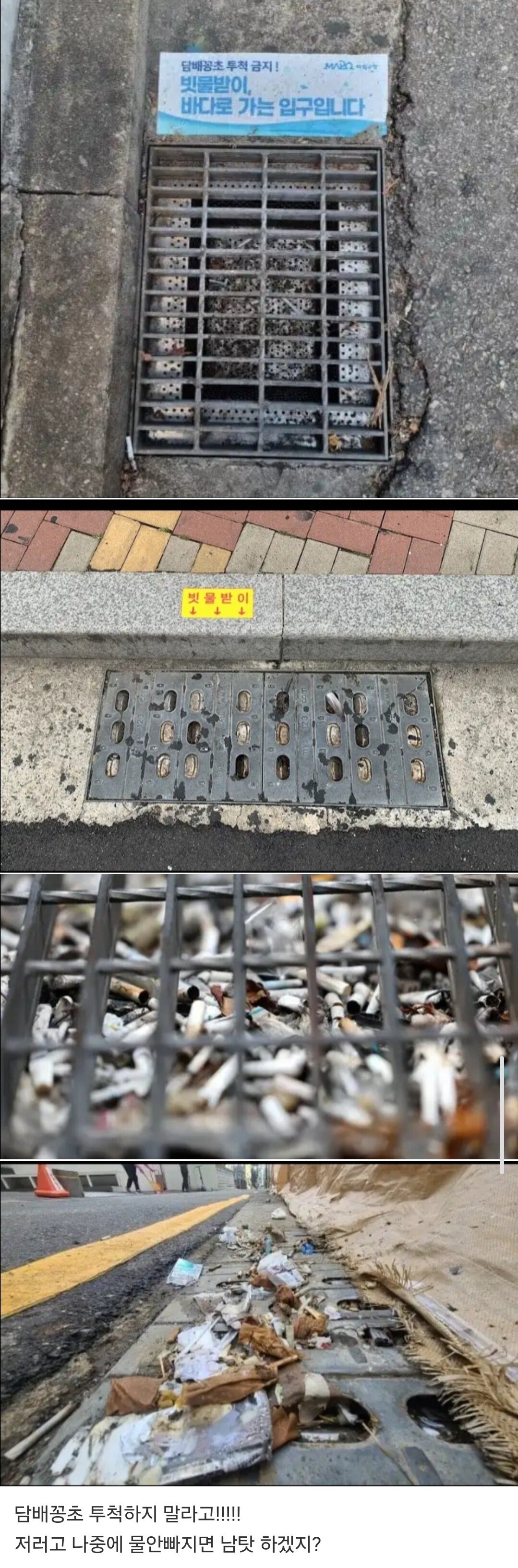 여름을 앞둔 빗물받이 근황.