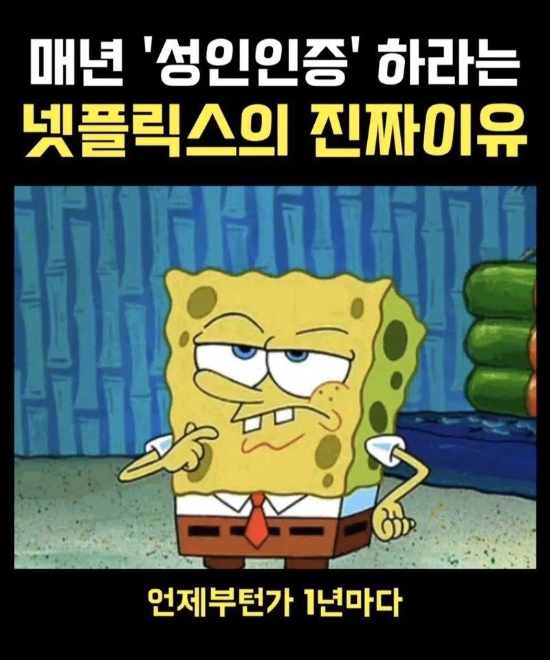 넷플릭스가 매년 1회 성인인증 하는 이유