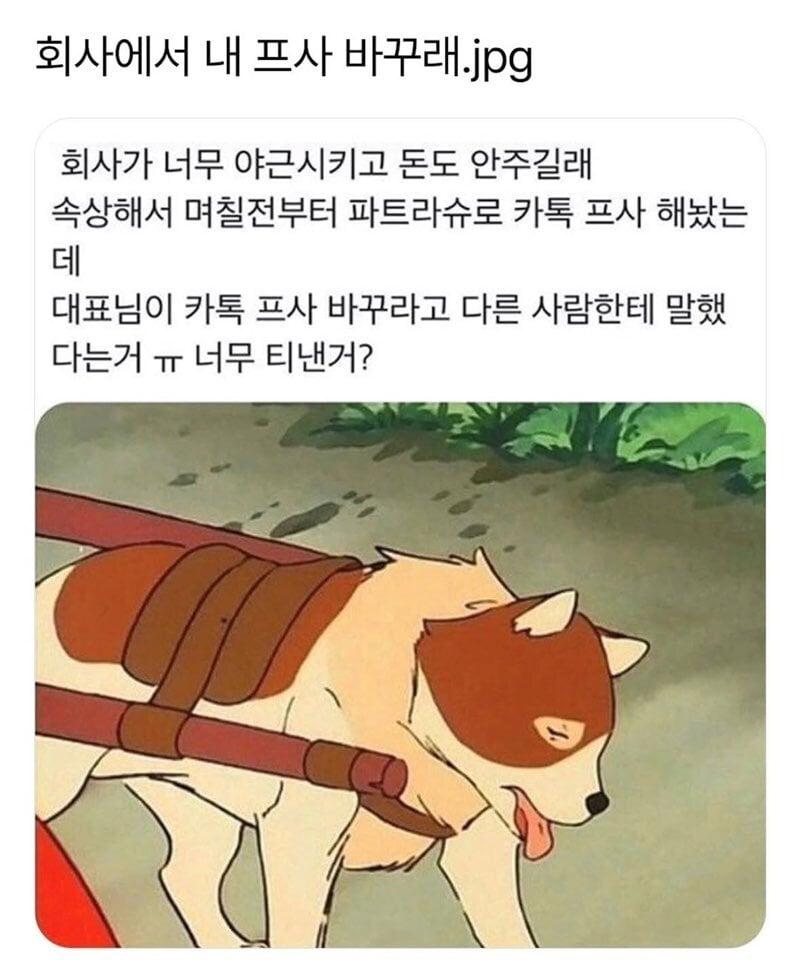 회사에서 카톡 프사 바꾸래