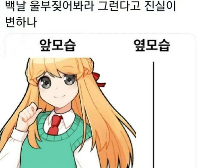 버튜버 씹덕에게 고소당할 수도 있는 짤