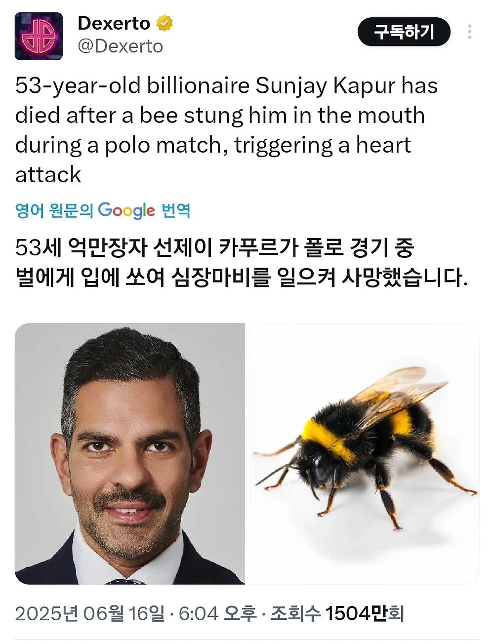 53세 억만장자 벌에 쏘여 사망