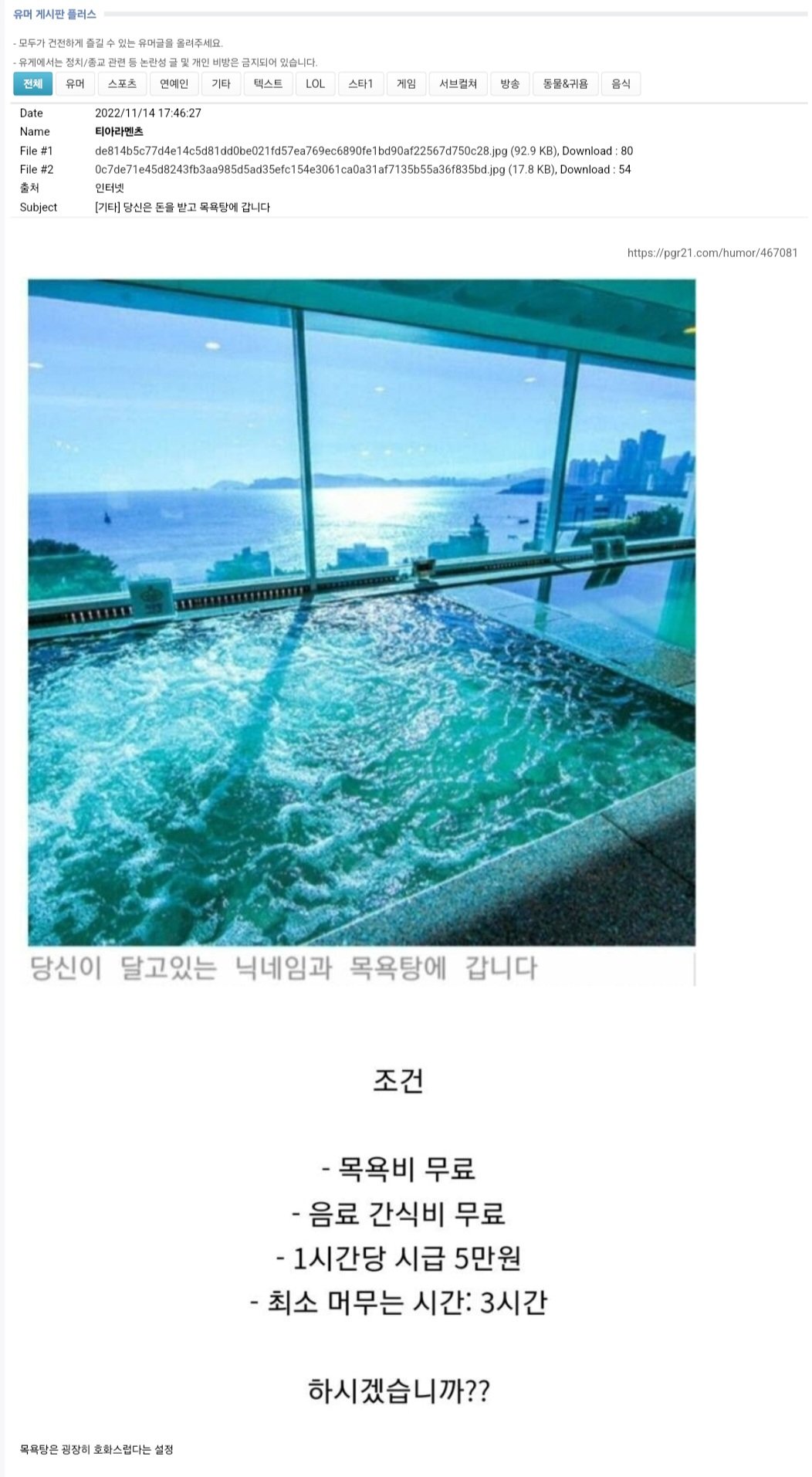 시급 5만원 알바 한다 vs 안한다