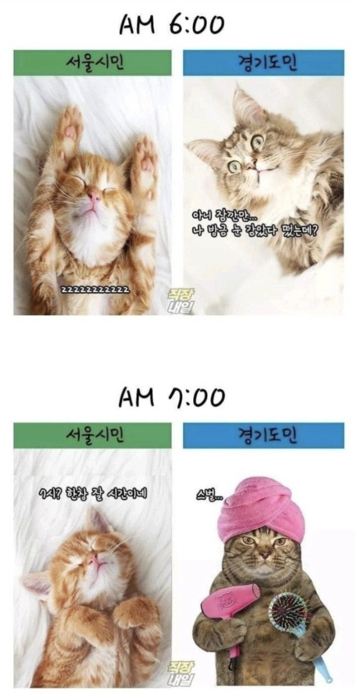 서울시민vs경기도민 출퇴근 차이