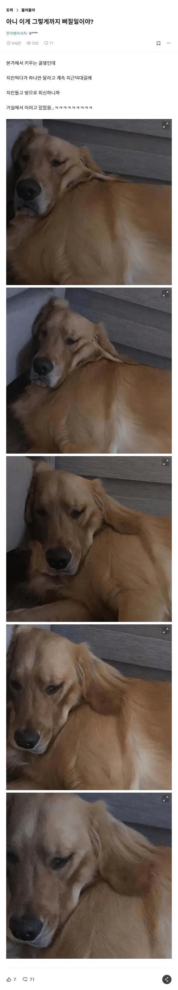 아니 이게 그렇게까지 삐질일임?.