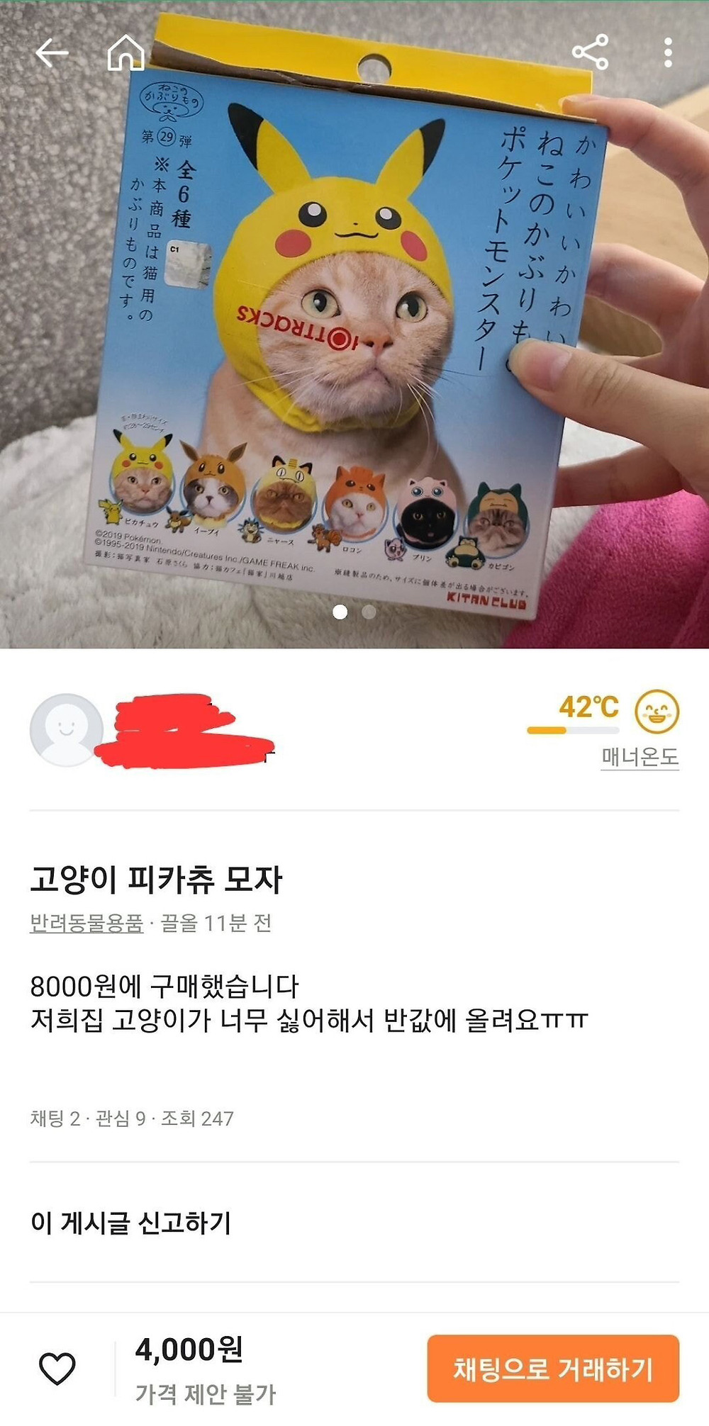 고양이 모자를 팔 수밖에 없는 이유
