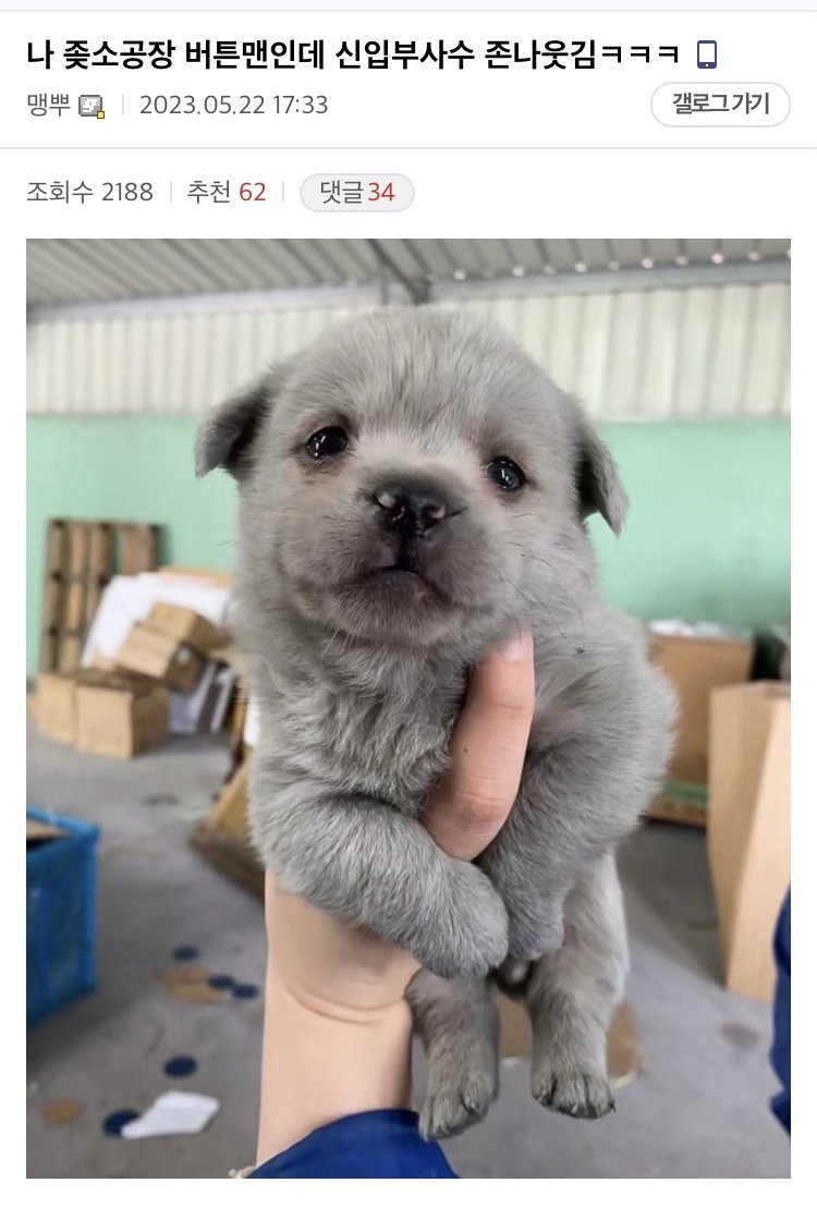 중소기업 생산직 S급 부사수 ㄷㄷ