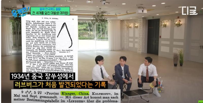 러브버그 원산지 떳다 ㄷㄷ