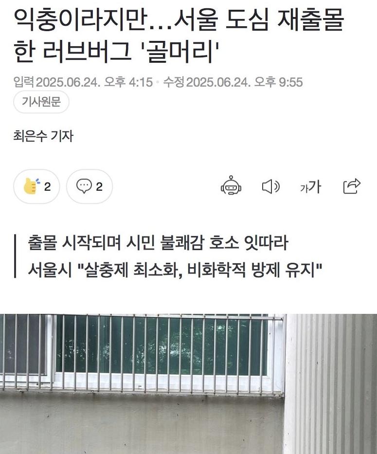러브버그 미쳤다 ㅅㅂ
