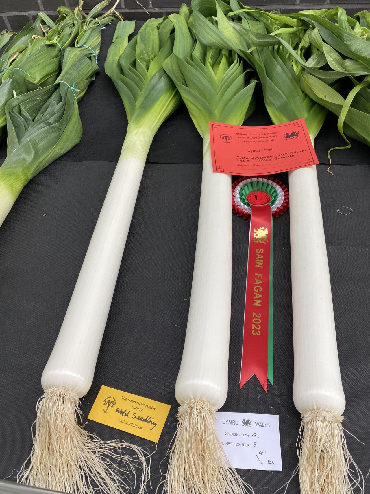 잘생기고 이쁘게 생긴 야채대회 수상작품