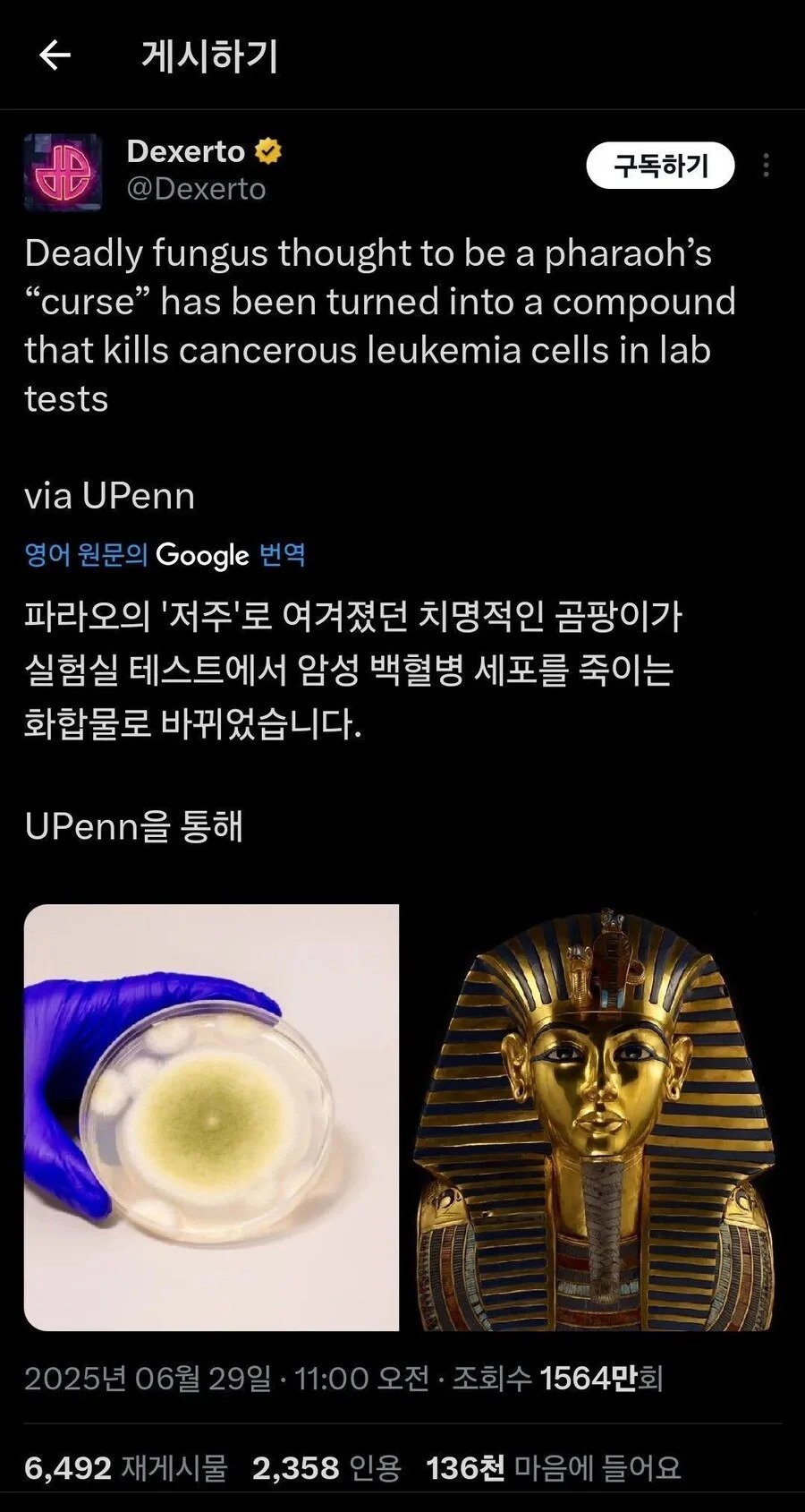 이집트 파라오 최신 근황