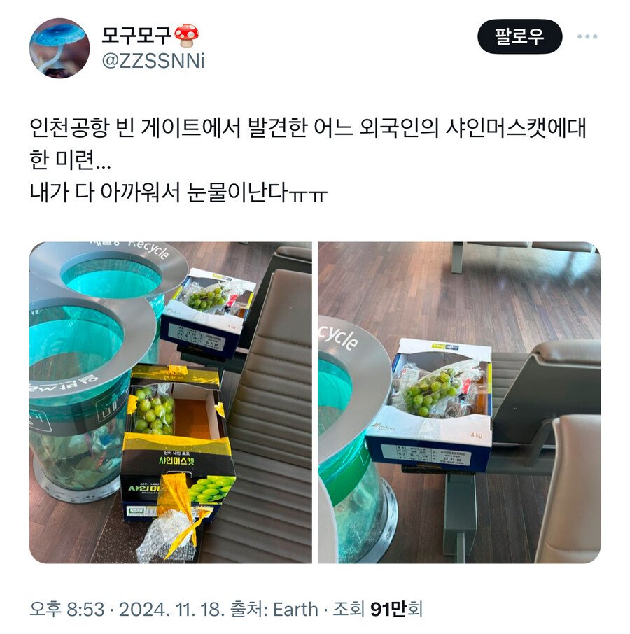 인천 공항 빈 게이트에서 발견된 외국인의 샤인 머스캣