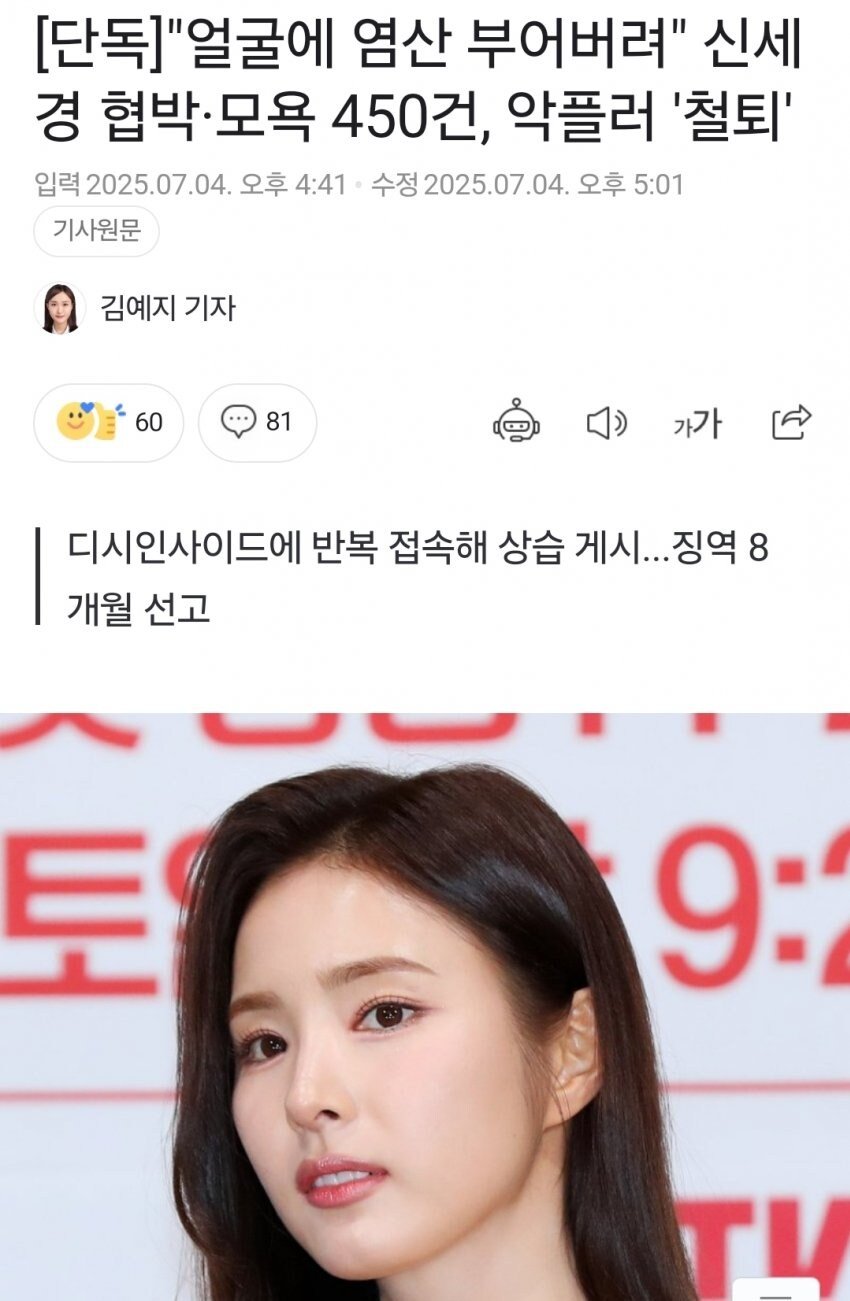 디시에 악플써서 실형 징역8개월