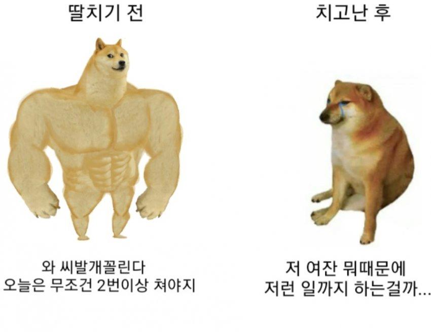 딸 치기 전과 후 반응 ㅋㅋㅋ