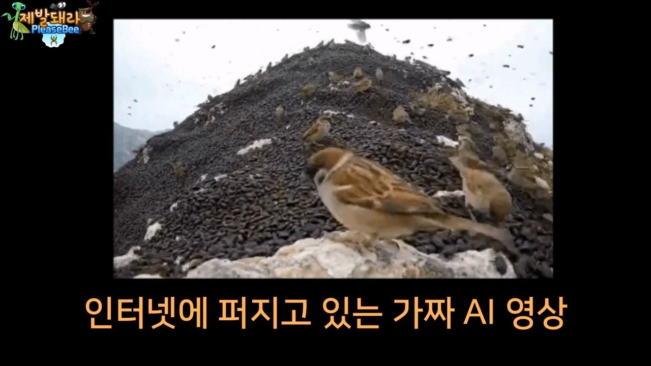 정말 참새가 러브버그를 먹을까? 논란의 종지부