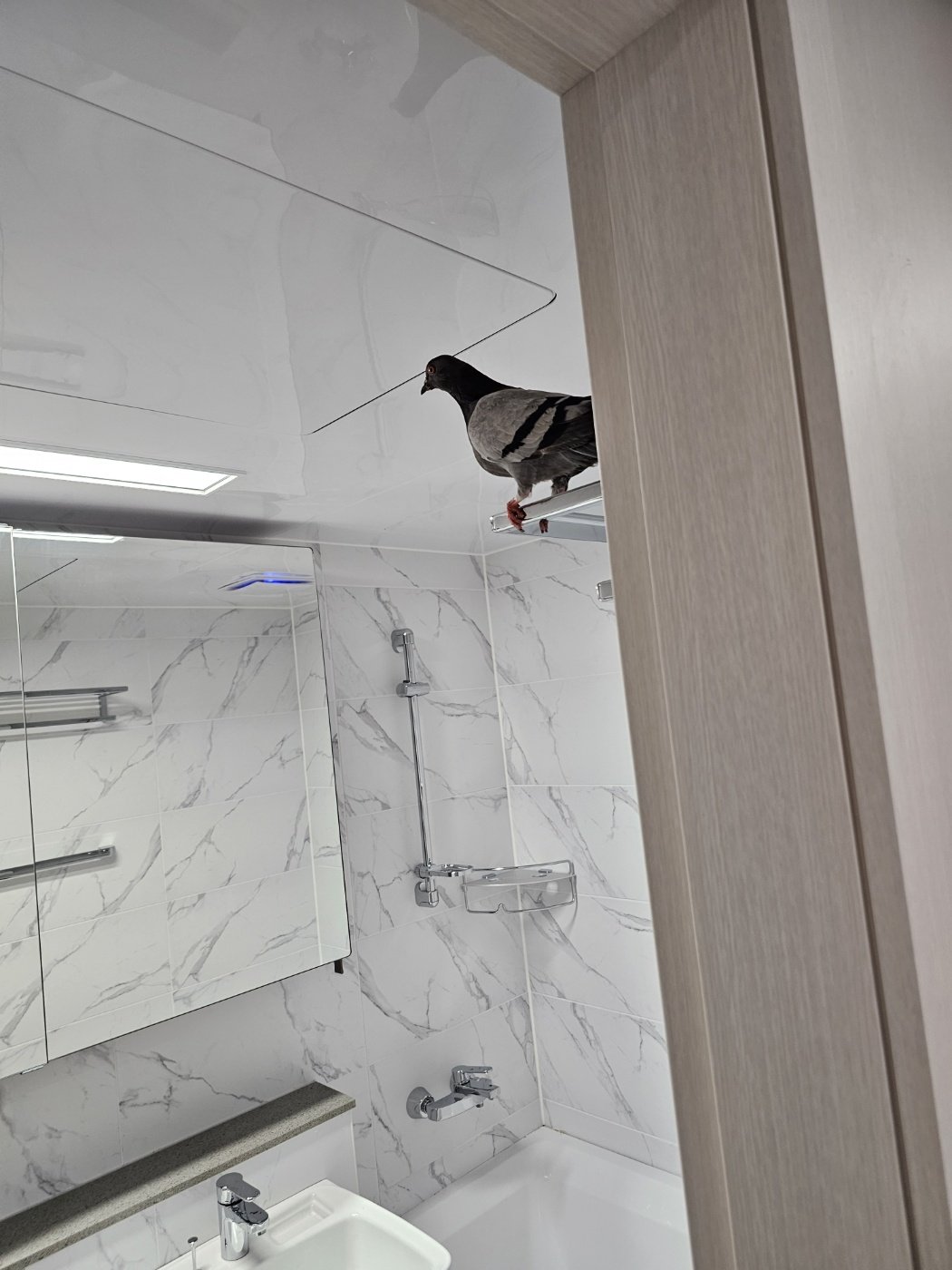 요즘 신축 아파트 근황