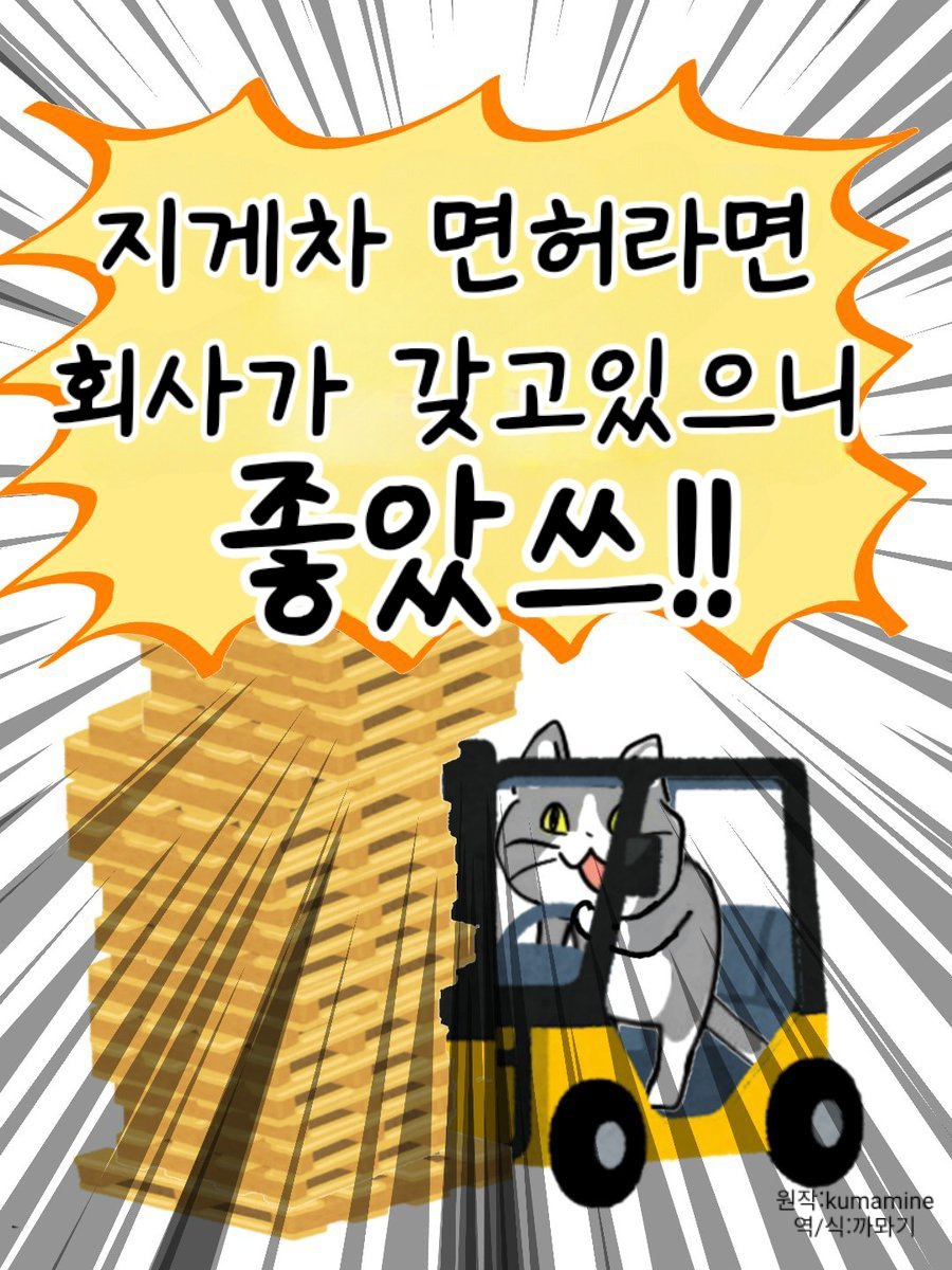 좋소기업의 면허 특징