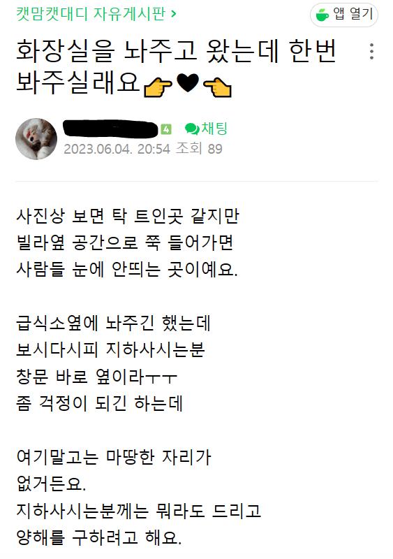 사람사는 반지하 집에 고양이 화장실 설치한 캣맘