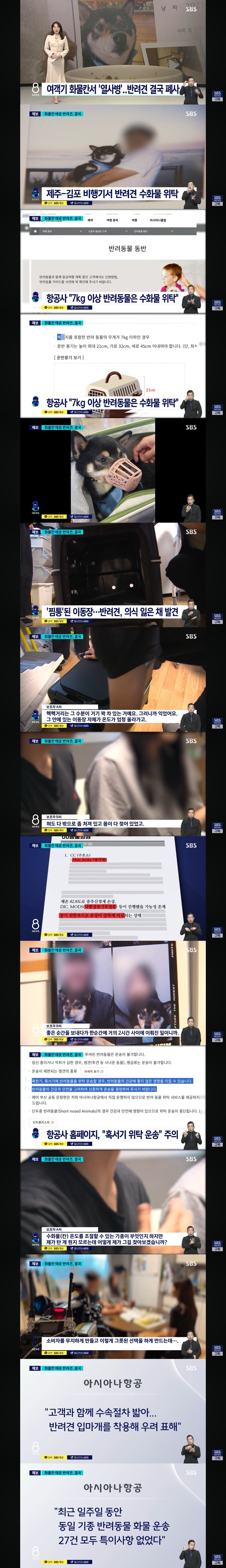 여객기 화물칸서 '열사병'.. 반려견 결국 폐사