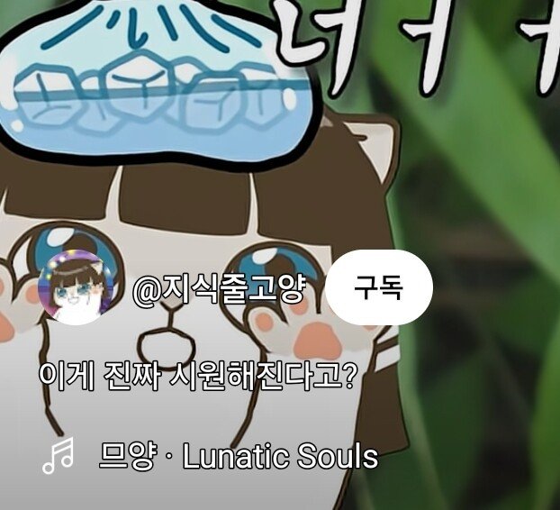 새벽에 쇼츠 유튜버들 지금 다 난리난 이유