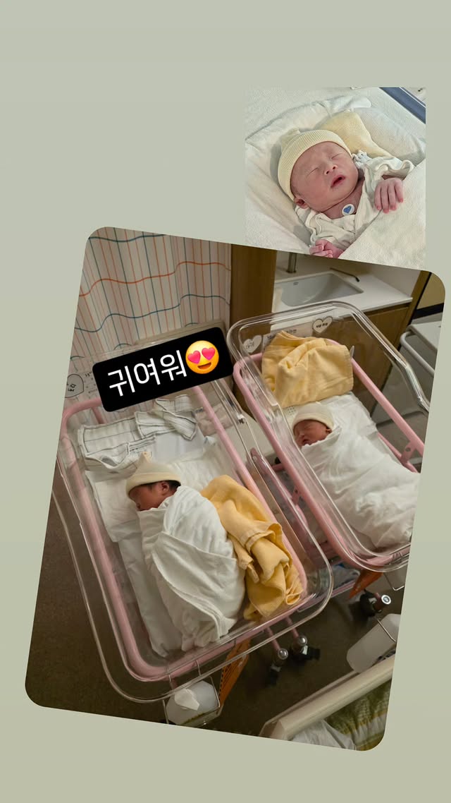 서울 야스킹 잇섭 근황