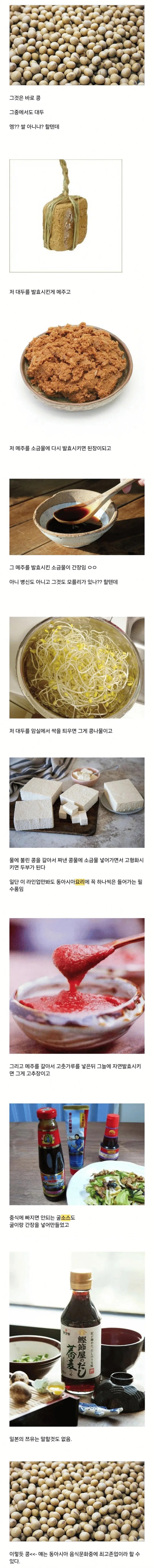 동아시아 최고 식재료