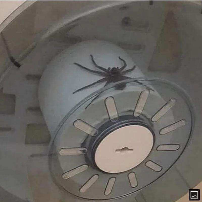 급똥싸다 화장실에 갇힌 호주사람..