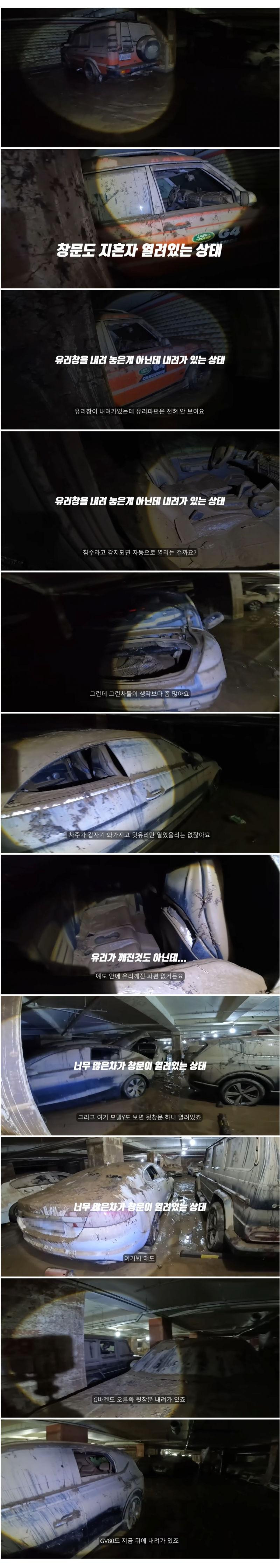 침수된 지하주차장에서 많이 보이는 자동차 유형