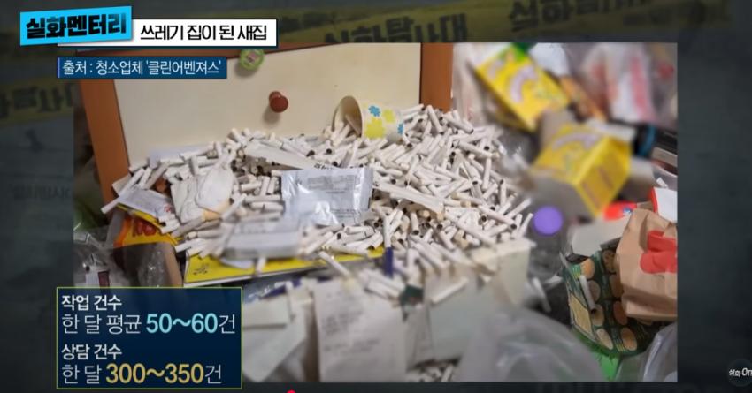 고급주택이 1년만에 쓰레기 집이 된 사연 (약혐)