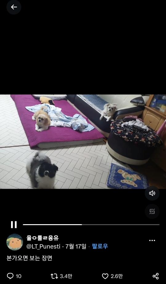 본가 오면 보는 장면...