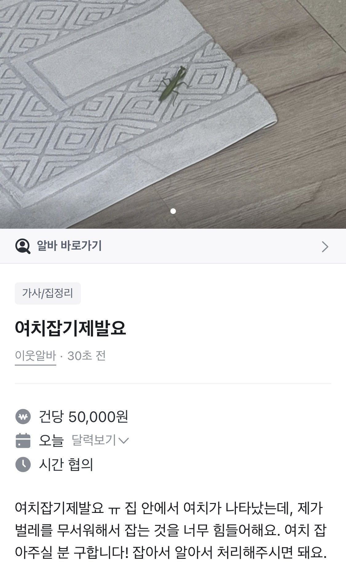 실시간 여치잡아주면 5만원준다는 당근마켓