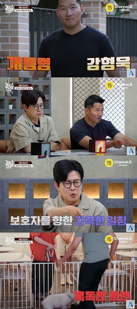 개통령 강형욱 최신근황