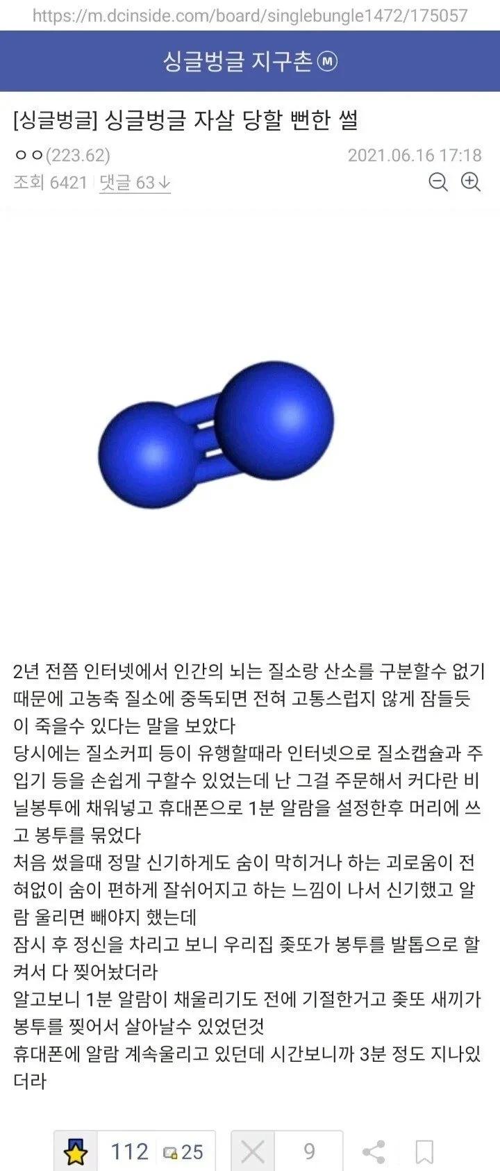 셀프 영원한 수면 시도한 사람