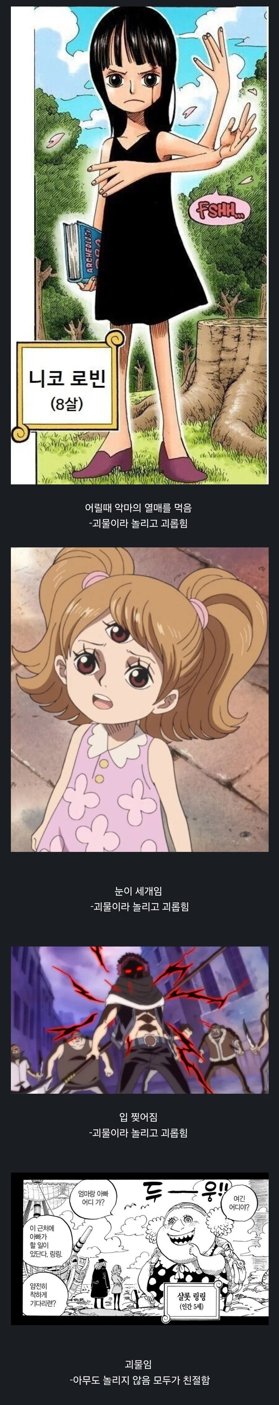 원피스 세계관 괴물의 기준