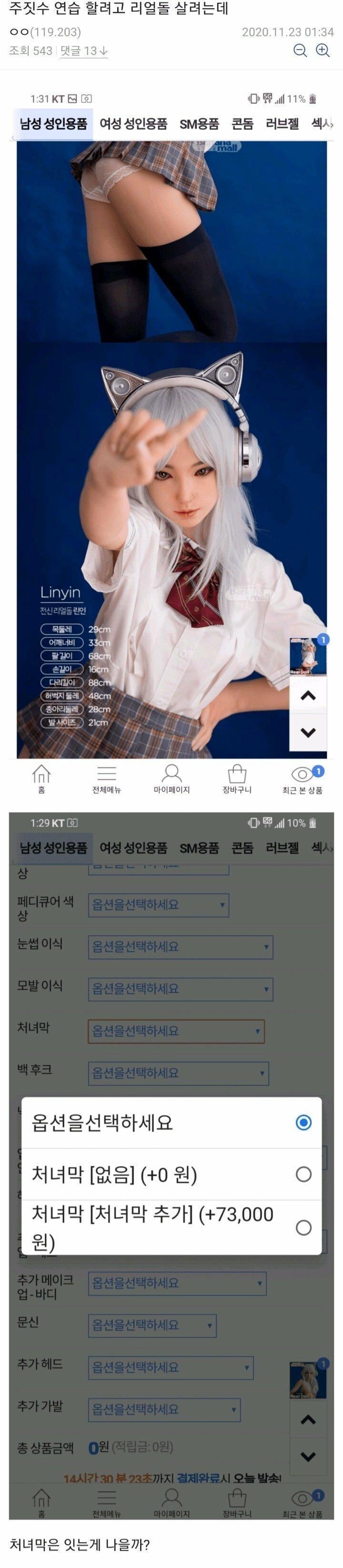 ㅇㅎ) 주짓수 연습 할려고 리얼돌 살려는데