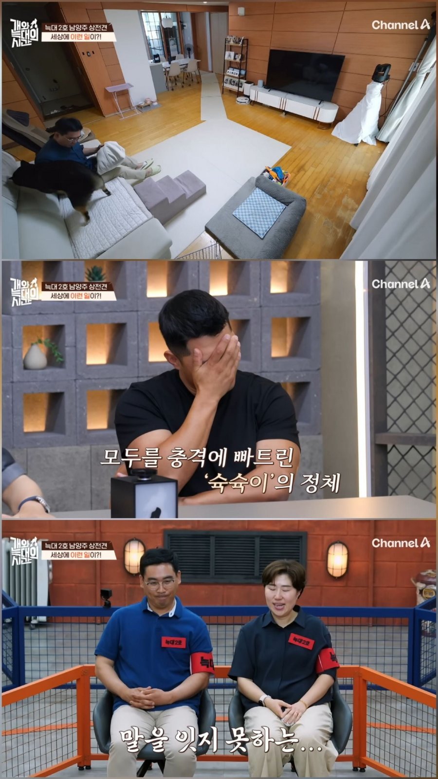 [약혐]강형욱 신규 프로그램 근황