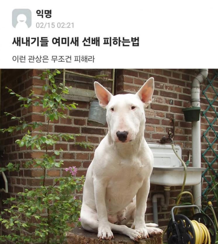 은근 공감한다는 여미새 관상.