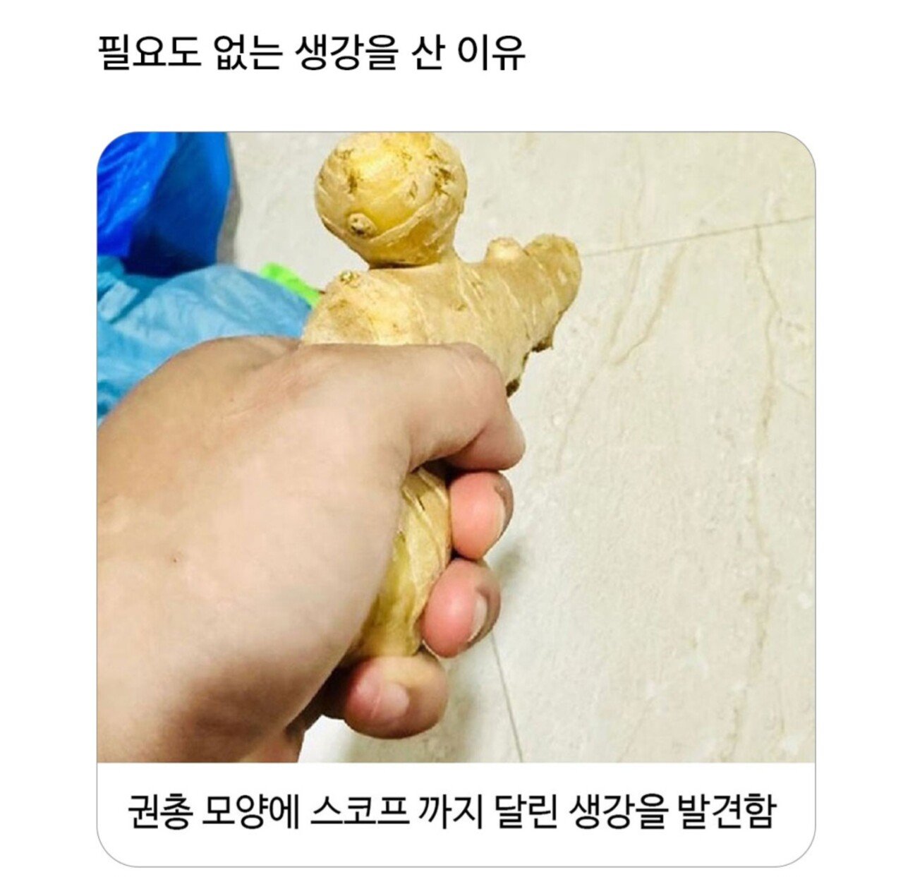 필요도 없는 생강을 산 이유