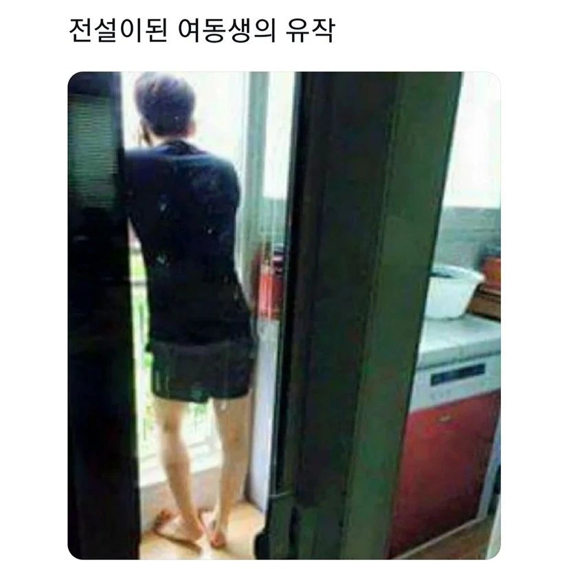 전설이 된 여동생의 유작