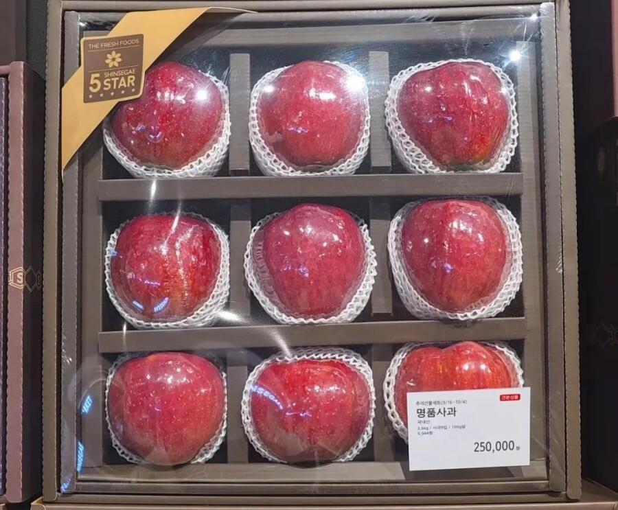 요즘 백화점 명품 사과 가격