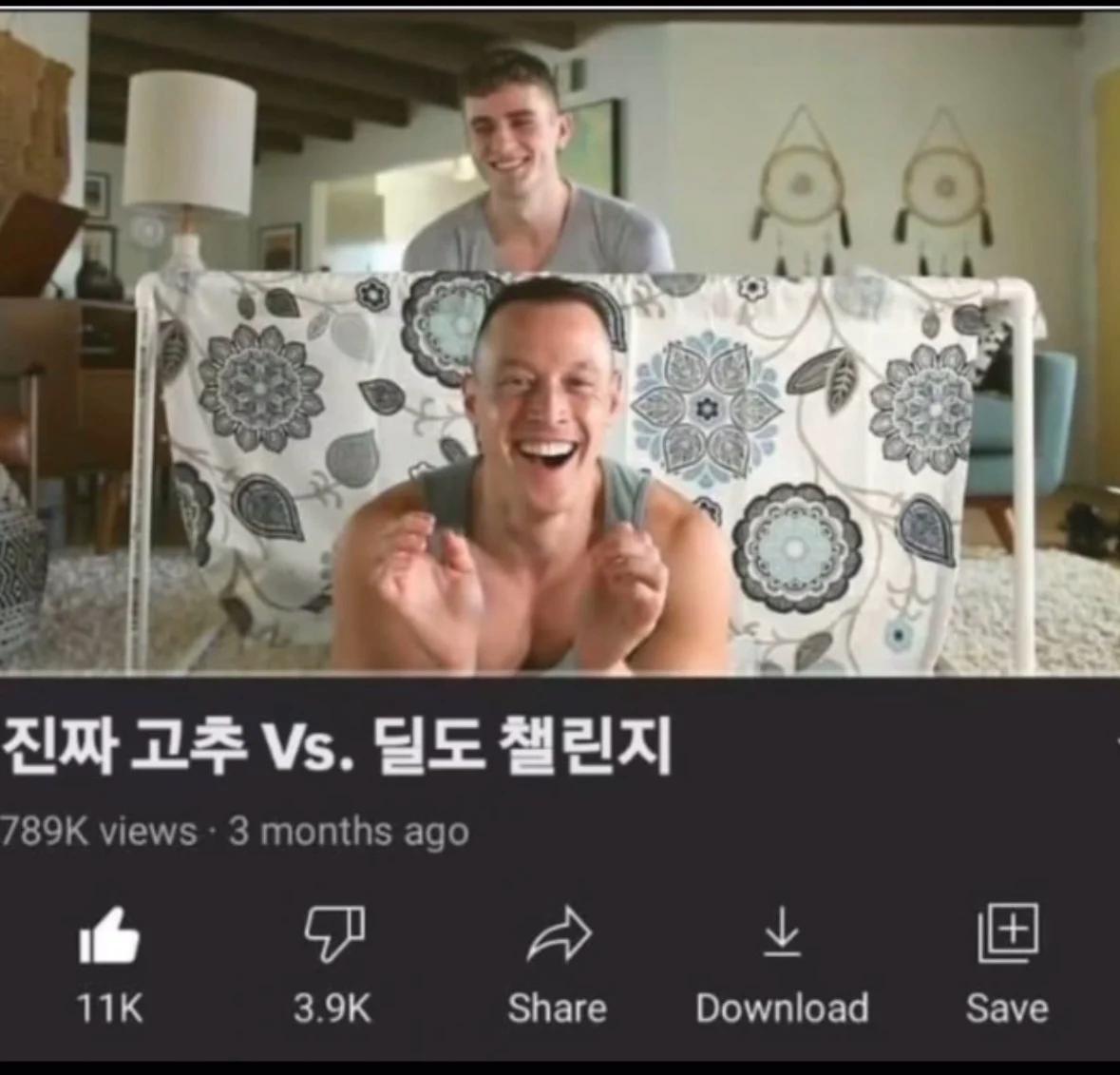 유튜브가 레드오션 이유