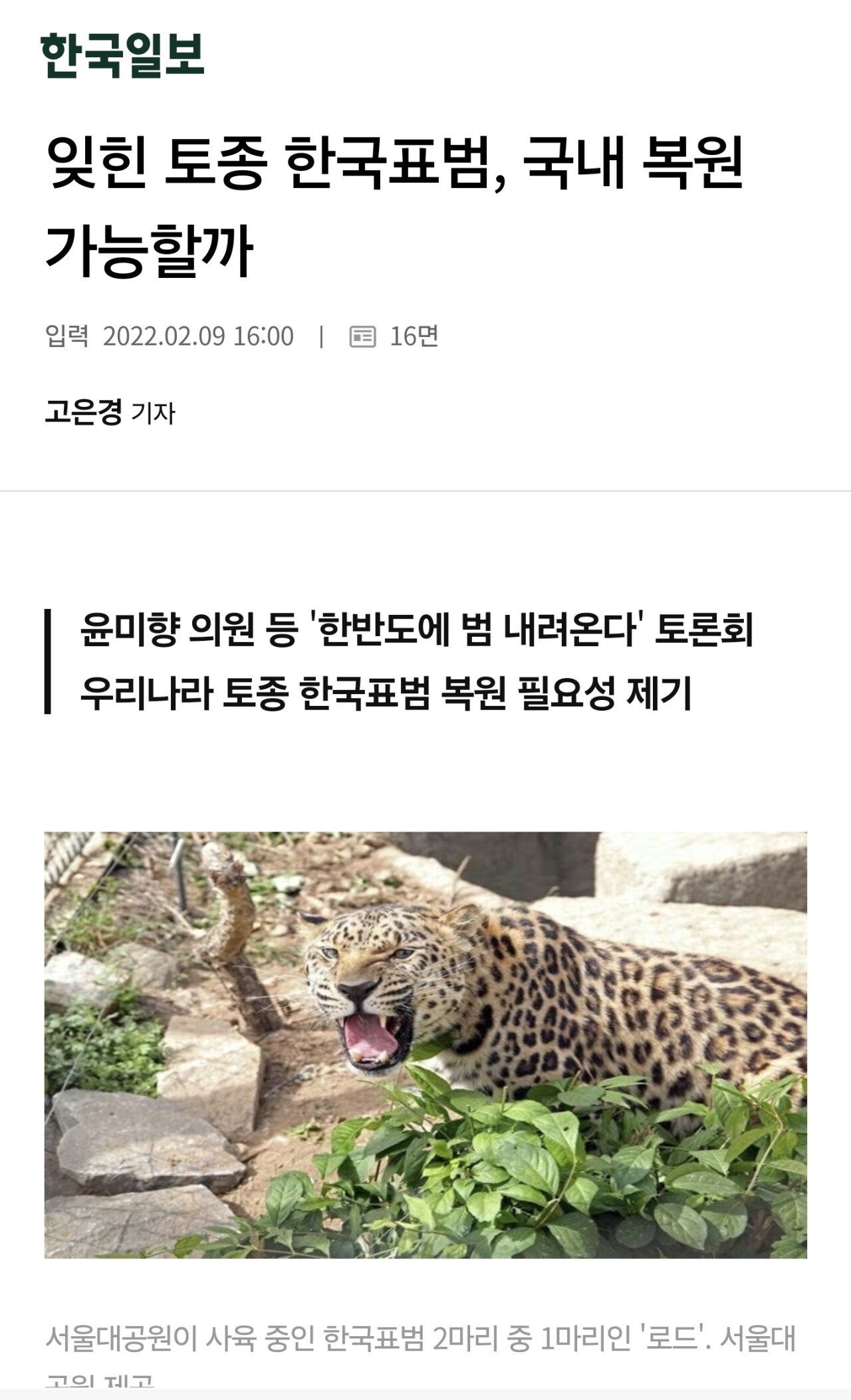 환경부 "산에 표범 풀겠다" 복원계획