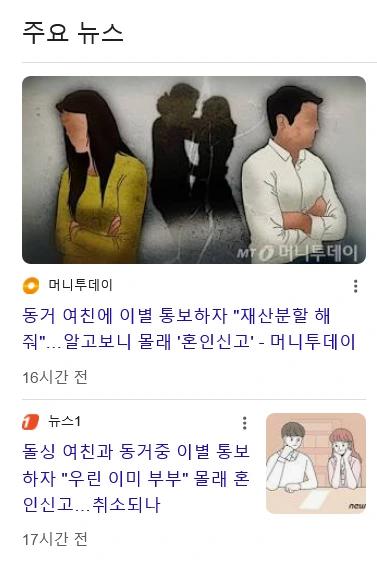 신종꽃뱀 너 몰래 혼인신고 함, 재산 분할 해줘