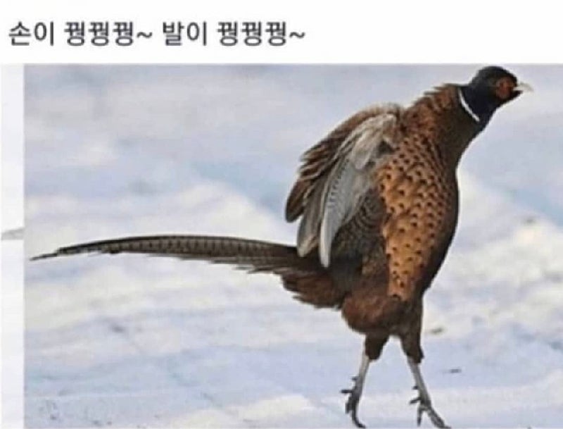대략 한달 뒤면 닥칠 상황