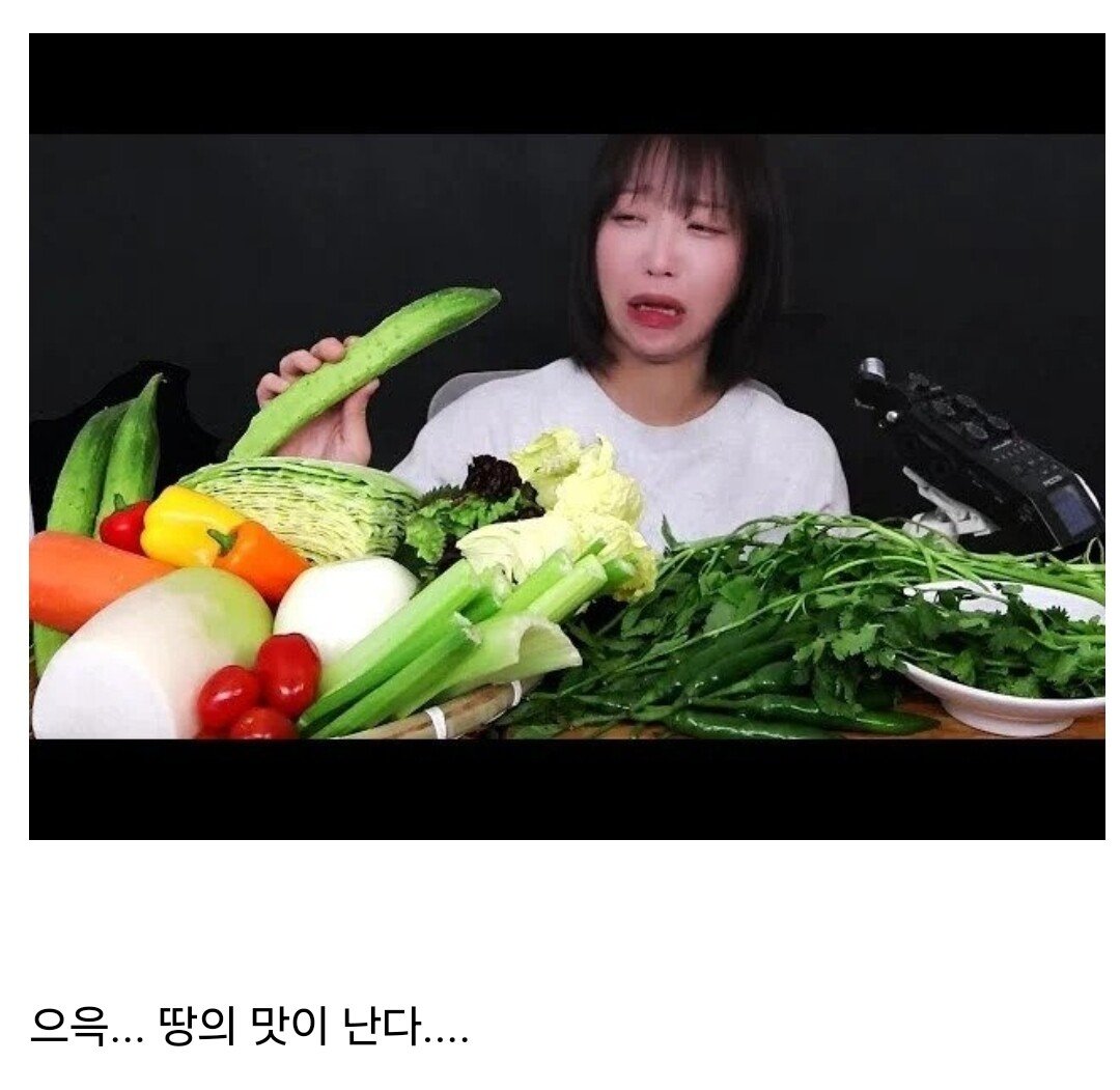 쯔양도 완식을 포기한 음식들 ㄷㄷㄷ