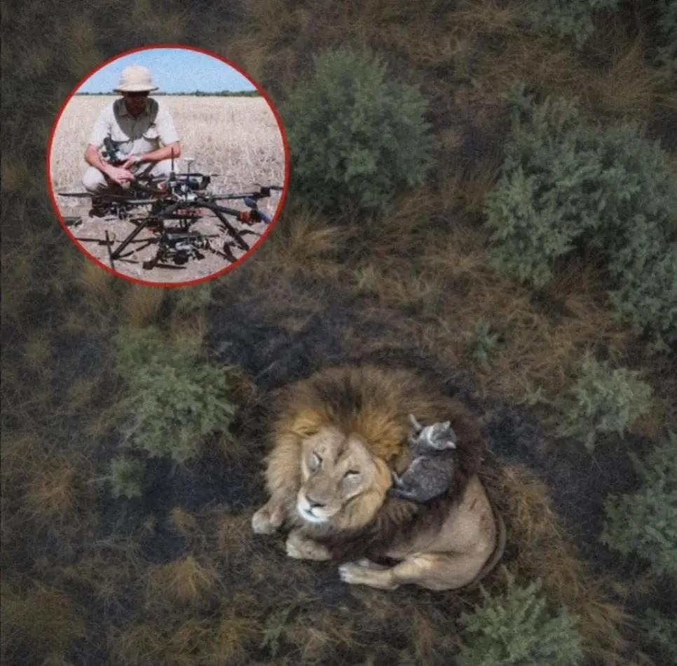 올해의 드론사진 어워드 위너 작품