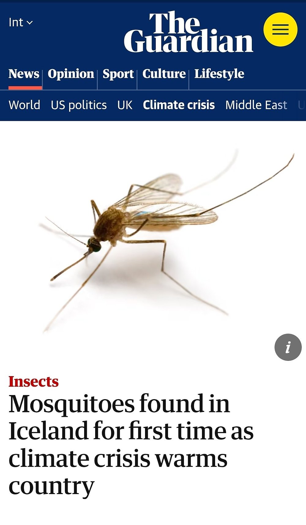 기후위기로 아이슬란드에서 처음으로 모기가 발견