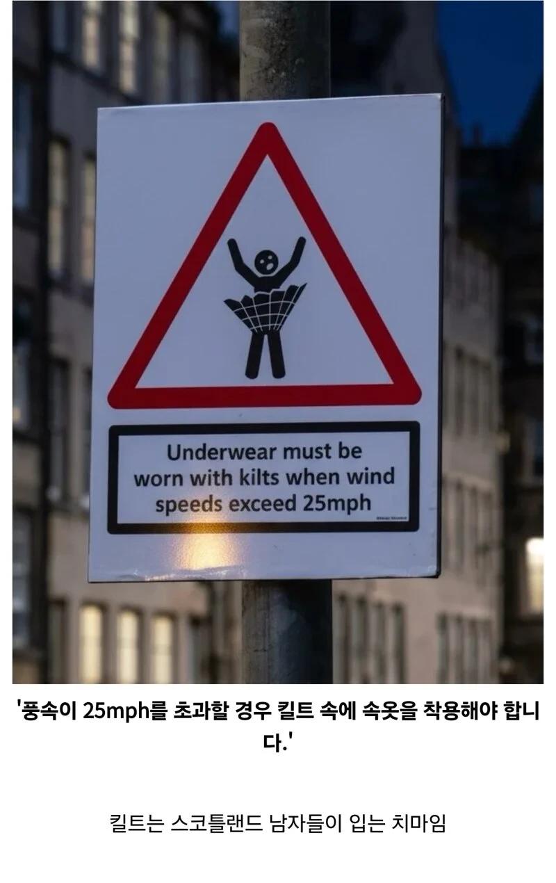 치마 속에 꼭 속옷을 입으세요